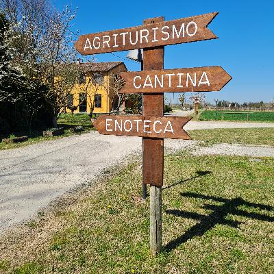 PILLOLE DI VINO con AUGUSTO ZUFFA