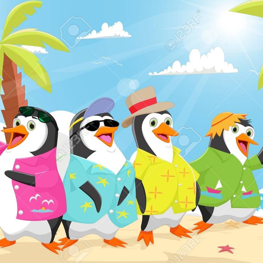 #live Tropical penguins #9