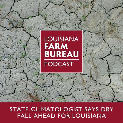State Climatologist Says Dry Fall Ahead For Louisiana State Climatologist Says Dry Fall Ahead For Louisiana
