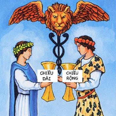 [S03E05] CHIỀU DÀI vs. CHIỀU RỘNG