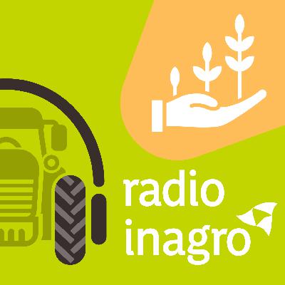 Gewasbescherming: wat brengt de toekomst?