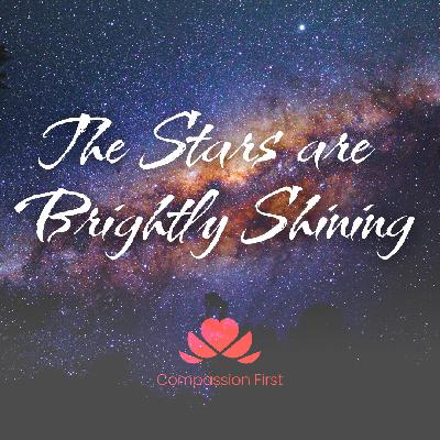 The Stars are Brightly Shining
