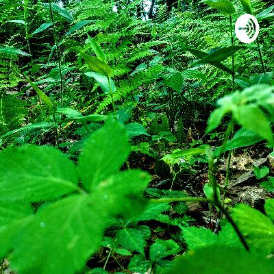 School, Politics, and Life With Daniel!