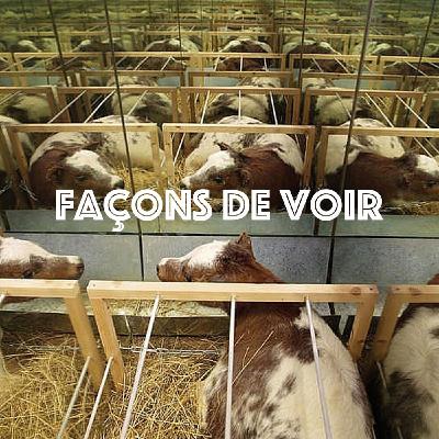 Façons de Voir - A table / Réparer le monde