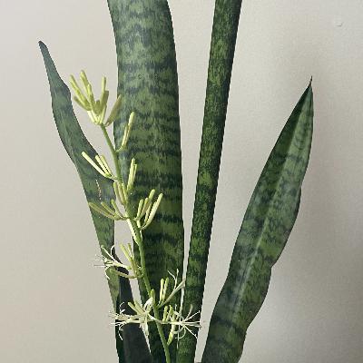 UNDER THE SURFACE 🌱 - Embracing the Unusual Sprig UNDER THE SURFACE 🌱 - Embracing the Unusual Sprig