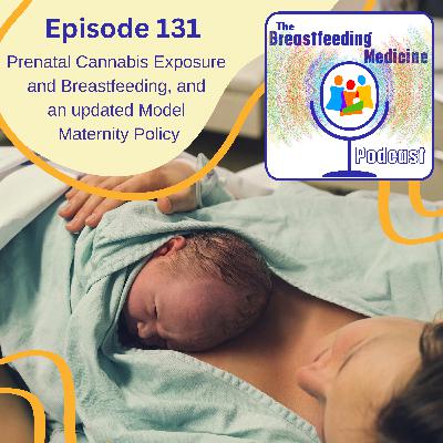 Prenatal Cannabis Exposure and Breastfeeding, and an updated Model Maternity Policy Prenatal Cannabis Exposure and Breastfeeding, and an updated Model Maternity Policy