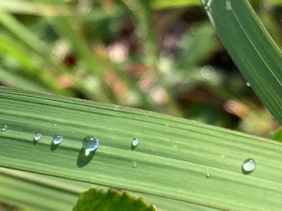 2025.11/12 うまくいくと困ること from Radiotalk