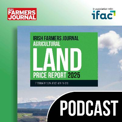 The IFJ Land Report 2025 | Trailer