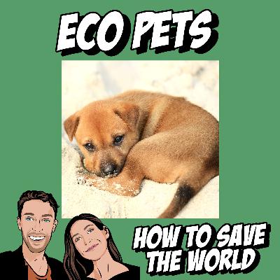 Eco Pets