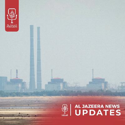 UK Palestine Action Group hearing, Zaporizhzhia power plant blackout