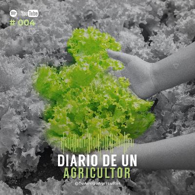 Buscando nuevas opciones de comercialización (emprendimiento) Buscando nuevas opciones de comercialización (emprendimiento)