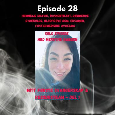 Mitt første svangerskap & Ressursteam- Del 1 Mitt første svangerskap & Ressursteam- Del 1