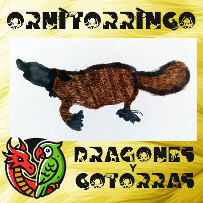 Ornitorrinco: Una "mezcla" muy loca de varios animales Ornitorrinco: Una "mezcla" muy loca de varios animales