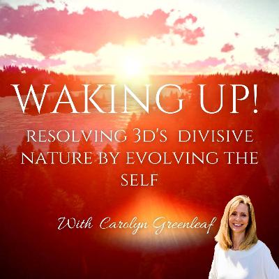 Resolving 3D's Divisive Nature by Evolving the Self