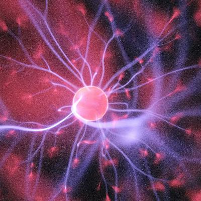 MR 51 - Das Gehirn und der Ruhestand MR 51 - Das Gehirn und der Ruhestand