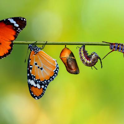 Living Transformed - Guest Speaker