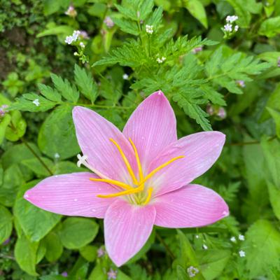 La sostenibilidad La sostenibilidad