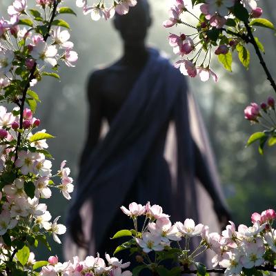 El Lado Oscuro de la Primavera. Pocos pueden comprenderlo.