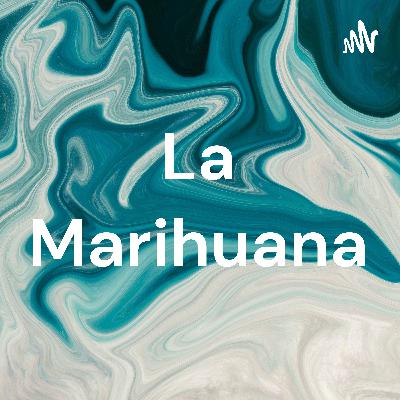 La legalizacion de la marihuana