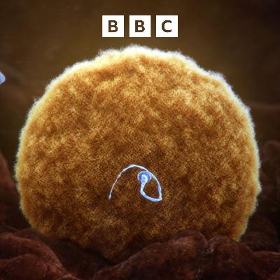 Cancer-causing gene found in donor sperm across Europe Cancer-causing gene found in donor sperm across Europe