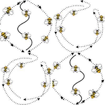 Im Takt der Bienen