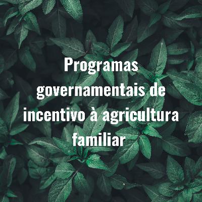 Programas governamentais de incentivo à agricultura familiar Programas governamentais de incentivo à agricultura familiar