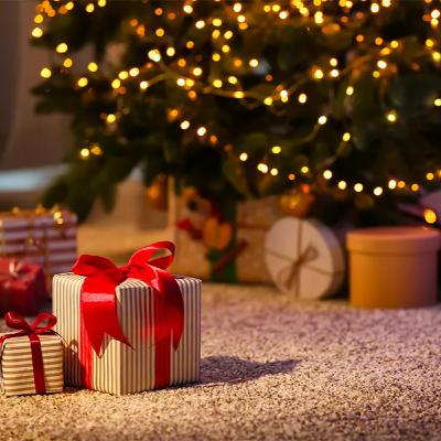 19 - Regali di Natale: Stress & Gioie - Christmas Gifts: Stressed & Joy Times - A2/B1