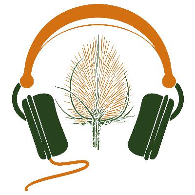Episode 30- Julia Lent