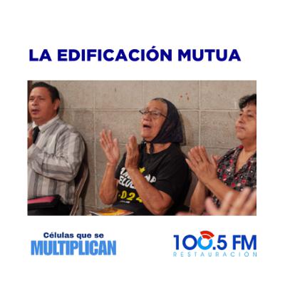 CÉLULAS QUE SE MULTIPLICAN - La edificación mutua CÉLULAS QUE SE MULTIPLICAN - La edificación mutua