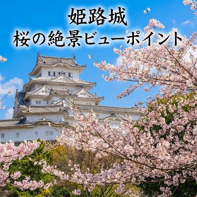 【姫路城】桜の絶景ビューポイントを歩いて巡ってみた｜これから訪れる人の参考にも