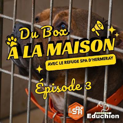 Du BOX à la MAISON - Épisode 3 Du BOX à la MAISON - Épisode 3