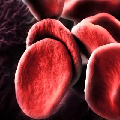 E008 用红细胞治疗癌症晚期？ 红细胞归巢免疫器官机制有何神奇？