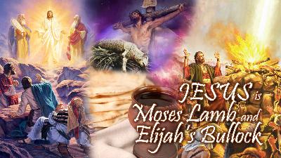 Jesus Is Moses’ Lamb and Elijah’s Bullock Jesus Is Moses’ Lamb and Elijah’s Bullock