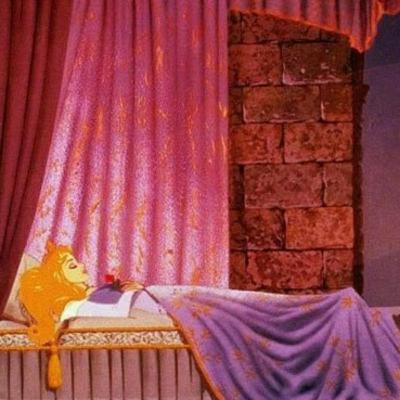 Sleeping Beauty - Part 4 Sleeping Beauty - Part 4