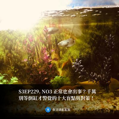 S3EP229. NO3 正常也會出事？千萬別等倒缸才警覺的十大盲點與對策！