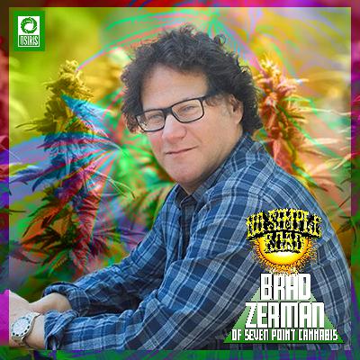 The Future of Cannabis Culture with Brad Zerman of Seven Point