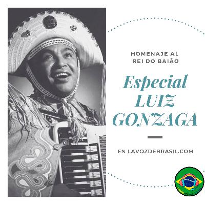 Vidas Brasileiras - LUIZ GONZAGA