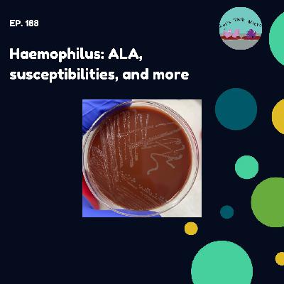 188: Haemophilus: ALA, susceptibilities, and more