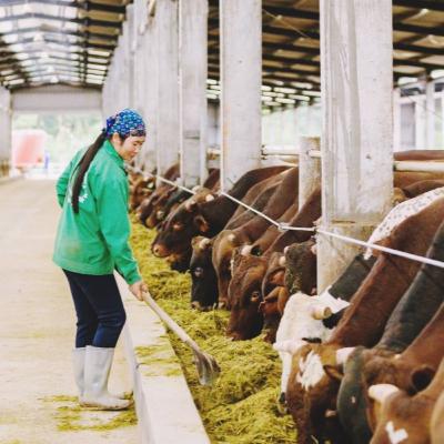 Bản tin vùng Đông Bắc ngày 8/12/2025