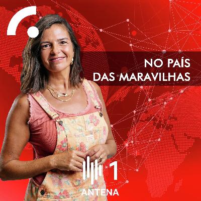 35 pais entram num bar, bebem cerveja e trançam cabelos