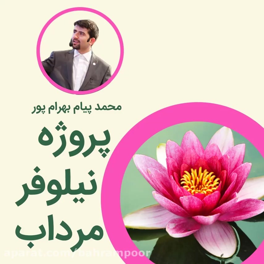 نیلوفر مرداب | مصاحبه با افراد خبره در زمینه موفقیت شخصی و کسب و کار نیلوفر مرداب | مصاحبه با افراد خبره در زمینه موفقیت شخصی و کسب و کار