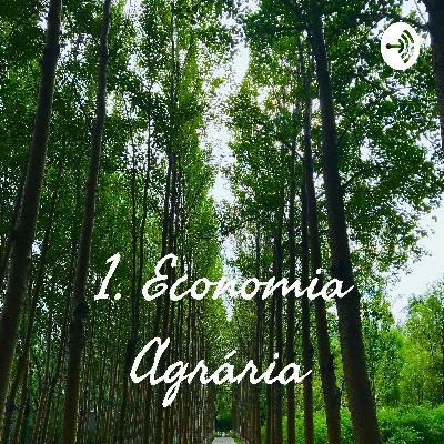 "Ensaio sobre a Reforma agrária brasileira, a qual nunca foi feita".