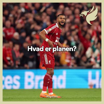 Hvad er planen?