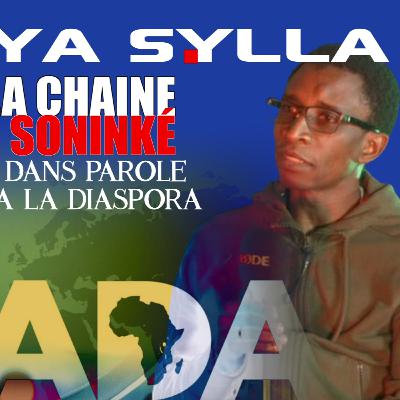 L'OHADA L'INCONNU ? - Parole à la Diaspora, reçoit Me Mamoya Sylla - 🇲🇱🇲🇻🇸🇳🇬🇲
