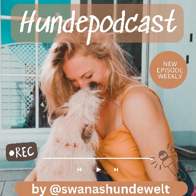 #007 - Was muss ich bei einem Tierschutzhund beachten?