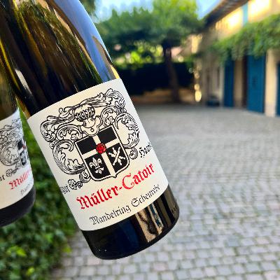 #8 / 1,368 - Scheurebe: An underrated German quality grape in steady decline.