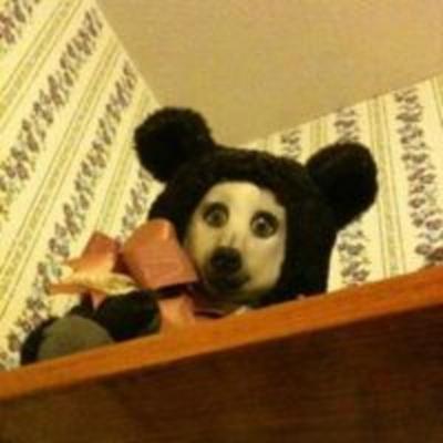 EL ICEBERG DE LAS CREEPYPASTAS DE INTERNET (Nivel 5)