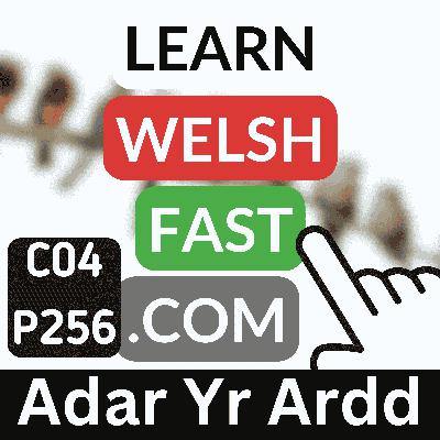 c04p256 (s04e256) - Adar Yr Ardd (Garden Birds) c04p256 (s04e256) - Adar Yr Ardd (Garden Birds)