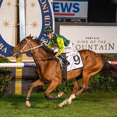 Punter's Preamble - 2026 Magic Millions