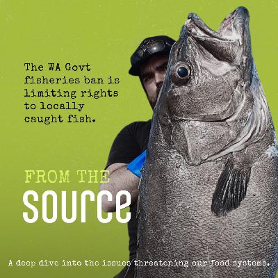 FROM THE SOURCE: Western Australia’s Fisheries Ban